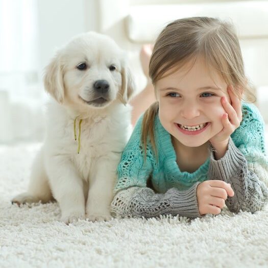 Kid and dog on carpet | Flooring By Design