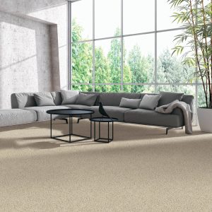 Natural Splendor carpet | Flooring By Design