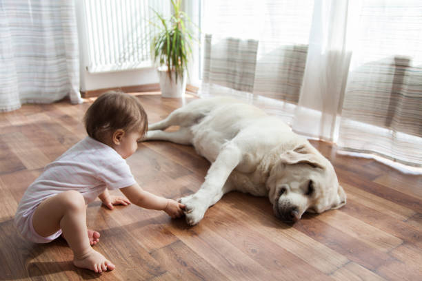 Kid with dog | Flooring By Design NC